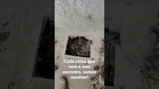 Cada coisa que vem a meu encontro, vamos resolver!