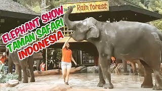 Pertunjukan Gajah Sumatera di Taman Safari Indonesia | The Elephant Show in Taman Safari Indonesia