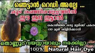 ചൂട് കഞ്ഞി വെള്ളത്തിൽ ഈ ഇല ഇട്ടു വെക്ക് /കേശവർത്തിനി /poppy vlogsmalayalam