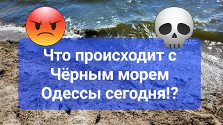 Что происходит с Чёрным морем Одессы сегодня, сейчас!?? Подписывайтесь на канал!