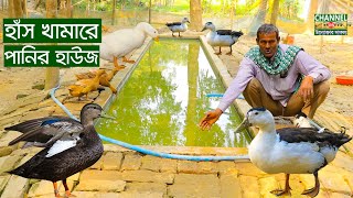 How to build a water house in a confined duck farm । water house ।  duck feed