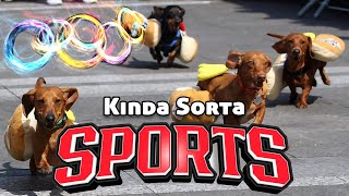 Quiz Lab: Kinda Sorta Sports! | Sporcle