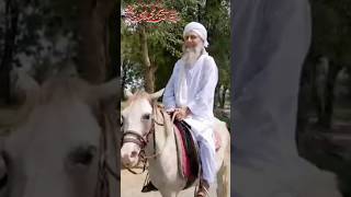 Peer Asif Majeed Naqshbandi #horseriding #allah #abdulrahmanmossad #islam #live #shorts #viralvideo