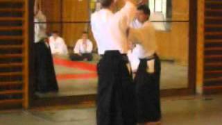 Aikido - aikijo, jo (staff) against ken (sword) exercise 2 of 3, by Stefan Stenudd in 2003