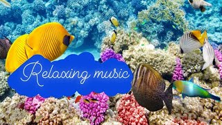 Relaxing music with the sounds of the stream / relaxing music