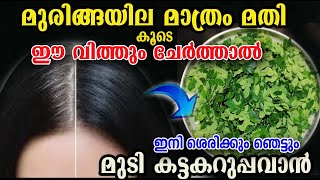 മുരിങ്ങ മാത്രം മതി ഇങ്ങനെ ചെയ്താൽ ഞെട്ടാം /hair dye muringaila