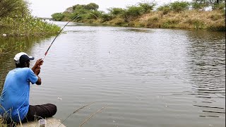 Awesome Fishing 🎣 Nice Catching The Fishes Village Fishing Tilapia Fish Catching