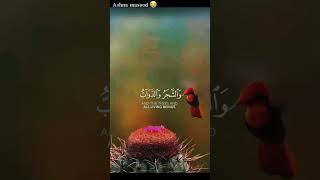 emotional quran recitation🥹🎧