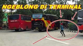 SOPIR NEKAT!! Jam mepet MURNI JAYA ngeblong di Terminal