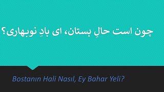 چون است حال بستان ای باد نوبهاری   /   Bostanın Hali Nasıl, Ey Bahar Yeli