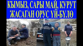 Александрдын үй-бүлөсү жайлоодо мал кармап, кымыз, сары май даярайт