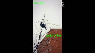 صباح الخير حالات وتس آب ستوريات انستا صباحية