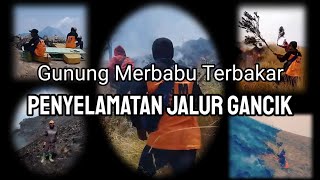 Gunung Merbabu Terbakar || PENYELAMATAN JALUR GANCIK @lonewolfindonesia