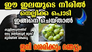 മുടി കരിപോലെ വണ്ണത്തിലും നീളത്തിലും വളരാനും നര മാറാനും /hair care /poppy vlogs/sreejina/malayalam