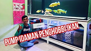 Unboxing dan Instalasi Pump Haideewell 10000 l/h Tank Predator 2 Meter || Mayin Internasional