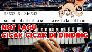 Cicak Cicak di Dinding - Not Lagu Piano / Pianika untuk Drum Band / Marching Band