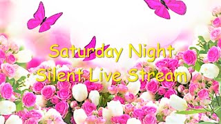 Saturday Night Silent Live Stream