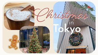 CHRISTMAS TOKYO VLOG // Illuminations, gingerbread and holiday spirit!