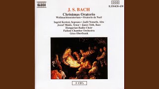 Weihnachts-Oratorium, BWV 248, Pt. 1: Recitative: Warum wollt ihr erschrecken? (Alto)