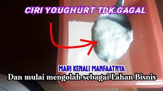 Mengenal Ciri Youghurt Tdk.Gagal dan Membuka Pelung Usaha Produsen Youghut.