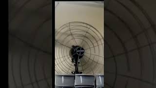 ventilador de parede ventisilva vpl