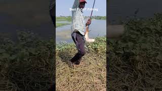 Local Fishing 🎣 video Single Hook Rohu Fishing #Sorts#sortvideos#youtubesorts#