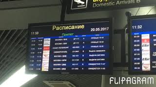 Встреча Гаяне Бреиовой в Сочи