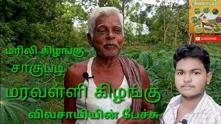 மரவள்ளிக் கழங்கு💯 சாகுபடி💯💯💯சேத்தியாத்தேப்பு🌍👍🌱💯🔺🌲🌴📱📸❤❤❤🌍🙏🙏🙏🙏