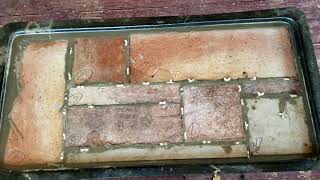 how to make steps from leftover floor tile.