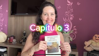 Capítulo 3 - As Nascentes do Rio que Canta - Marcos D’Luz #audiolivro #livros