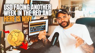 USD Facing Another Week in the Red and Here is Why