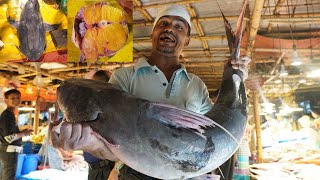 See How A Huge 55 Kg Baghair Fish Cuts | One Of The Biggest Fish In The World | Fish Cutting Skills