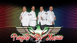 aqui tienes al grupo musical }}} proyecto de mexico{{{ sucribete ami canal