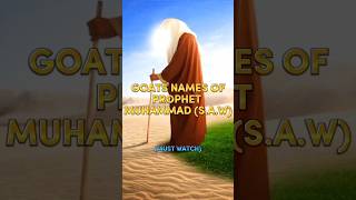 Goats Names Of Prophet Muhammad (S.A.W) 🕋 #Allah #youtubeshorts #islam #viral #success #foryou