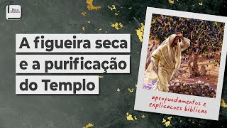 A Figueira Seca e a Purificação do Templo - Aplicativo da Bíblia