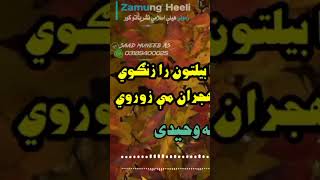 د زړۀ نری تناب مې بيا بيلتون را زنګوي - غمونه ځي راځي - تريخ هجران مې زوروي #zamungheeli