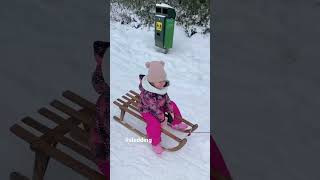 #shorts #wald #sledding #cuteness #winter #germany