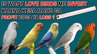 اس وقت لوو برڈس میں انویسٹ کرنا کیسا ہے؟ | HOW TO INVEST IN LOVEBIRDS MUTATION RIGHT NOW | AAB INFO