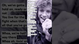 Bon Jovi - livin' on a prayer