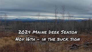 2024 Maine Deer Season - November 16th | In the Buck sign