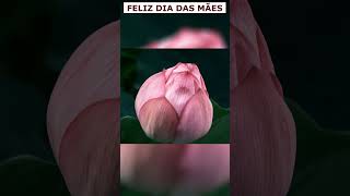 FELIZ DIA DAS MÃES!