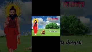 જય વેલનાથ || જય ગિરનારી || જય વેલનાથ્ બાપુ ||