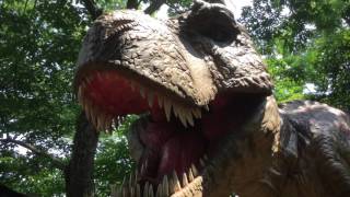 dinossauros nagoya parque