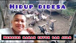 Kehidupan didesa yang menyenangkan