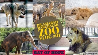 Islamabad Marghazar Zoo VLog 01 | Islamabad Beautiful Marghazar Zoo