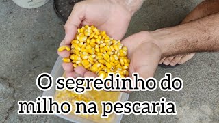 #melhorisca #iscainfálivel #pescaria Dicas De Pesca #isca#milho azedo, piapara-piau-tilapia.