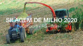 Silagem de milho 2020 em Cotiporã RS