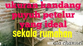 Ukuran kandang puyuh petelur