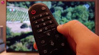 Soporte LG España - Editar programas de TV en WebOS4.0/4.5