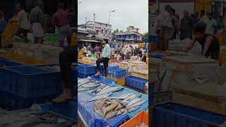 calicut fish market #kozhikode വലിയങ്ങാടി മാർക്കറ്റ്  #shortvideo #fish #shorts #short #reels #reel